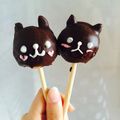 クック6D5MXA☆'s cooksnap of when they made HMで簡単☆猫デコのポップケーキ.