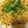 ゆきちー。's cooksnap of when they made 簡単☆豚キムチうどん.