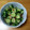 とびうおちゃん's cooksnap of when they made きゅうりの酢の物（エスニック風）.