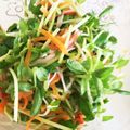 ちかcooking's cooksnap of when they made 豆苗と人参のサラダ.