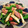 ばにらい's cooksnap of when they made ウインナーと野菜の炒め物.
