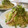 ☆☆あっきん☆☆'s cooksnap of when they made 簡単♡和風きのこパスタ～ゆず胡椒風味～.