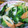 みあぃ's cooksnap of when they made 葉玉ねぎとちくわの味噌炒め.