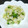 ♡MINE♡'s cooksnap of when they made 簡単絶品おつまみ☆イカのなめろう☆.