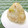 赤い電話's cooksnap of when they made ネギとかつおぶしのおにぎり☆.