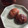 xxxemily's cooksnap of when they made コツをおさえた★栗の渋皮煮.