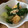 naomin1975's cooksnap of when they made ヘルシー！青梗菜と桜えびの煮びたし.