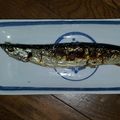 Kiyumimimi's cooksnap of when they made 秋刀魚の塩焼き。TVで見た綺麗焼ける方法.