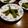 Ｐ子ママ's cooksnap of when they made 甘長ししとうのきんぴら♫.