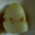 ma___111's cooksnap of when they made まるごとニンニクのレンジ焼き.