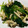 quinne's cooksnap of when they made きのこと青菜の煮びたし.