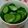 まなわかこじ's cooksnap of when they made ピリ！ウマ！ 簡単きゅうりの浅漬け.