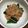 anemonenan's cooksnap of when they made ほうれん草となめたけの和え物.