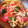 おいく019's cooksnap of when they made きのことトマトのマリネ.