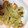 ムーヒツジ's cooksnap of when they made 残り物で簡単♪ちくわと長ネギの炒めもの.