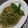 うまうま238's cooksnap of when they made アッ言う間のパスタジェノベーゼの作り方.