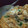 舞鶴JAMBO's cooksnap of when they made 節約！ご飯がススム！ふわふわ親子丼風.