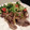 Walnut1107's cooksnap of when they made 豚肉の変わりしょうが焼き.