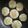 クックXG4T3L☆'s cooksnap of when they made 3アレルギー♪ホットケーキ.