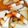 クックB3B60G☆'s cooksnap of when they made 我が家のおでん.
