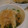 るちあママ's cooksnap of when they made せりの長芋とろとろ.