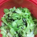 記念樹's cooksnap of when they made あったかキャベツの昆布和え.