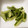 kumimouse's cooksnap of when they made かぶの漬物。きゅうりとかぶ皮の酢の物。.