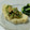 Shizushimo's cooksnap of when they made アボカドと鮭フレークのマヨ和え.