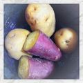 Emiii28's cooksnap of when they made 炊飯器で、じゃがいも炊き？.