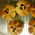 warunyan's cooksnap of when they made かぼちゃあんぱん.