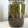 Genkimyao's cooksnap of when they made しその実のお醤油漬け.