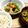 あやぬぼゅ's cooksnap of when they made 鶏肉と根菜の煮物.