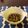 クック0Q9HGN☆'s cooksnap of when they made セロリの甘辛炒め.