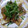 ひいちい's cooksnap of when they made 厚揚げの焼き葱梅ソース.