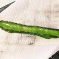 なぁあちゃん's cooksnap of when they made 簡単☆おつまみ☆四角豆の素揚げ.