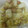 セイギママ☆'s cooksnap of when they made 白菜のとろとろ炒め.