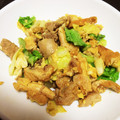 pony1's cooksnap of when they made 豚と油揚げの炒め物.