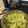 tascs's cooksnap of when they made 塩だれキャベツ.