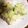 たかっち6090's cooksnap of when they made 簡単！レンジでチンするだけのホットサラダ.