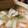 kazumeiap's cooksnap of when they made 野菜たっぷり巻き☆我家のヘルシー豚しゃぶ.