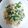 たこ＠福岡's cooksnap of when they made 韮卵.