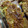 まる0p0's cooksnap of when they made 豚ロースの粒マスタード焼き.