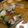 hamanny's cooksnap of when they made 牡蠣☆ブイヤベース風、簡単！.
