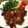 AKITON000's cooksnap of when they made 簡単！　メイン　豚ロースの　カレー焼き！.