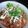 *ヨネコ*'s cooksnap of when they made 豚キムチ丼.
