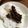 huto☆'s cooksnap of when they made ∮ ご飯が進む✰甘辛✰彡ししとう味噌 ∮.
