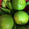 たけぞぞ's cooksnap of when they made すだちＤＥジュース.
