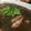 etsukoooo's cooksnap of when they made 白ワイン冷やしといて！お手軽イカスミ煮。.