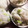 クックX30MMA☆'s cooksnap of when they made 簡単！枝豆とシラスの混ぜごはん.