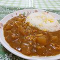 赤い電話's cooksnap of when they made キーマカレー風☆冬瓜カレー.